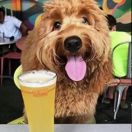 Celebrate National #DrinkBeerDay with a cold one at Ms. Rose's!  We have so many craft and local Charleston brews to choose from!  | Ms. Rose's Fine Food & Cocktails | Facebook