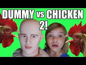 Dummy vs. Chicken 2! The Ultimate Showdown