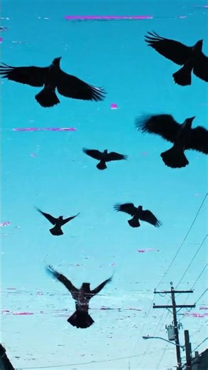 POV: Glitch in Reality