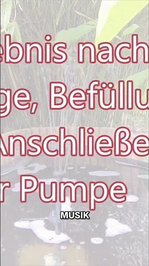 Solar-Gartenpumpe: Wasser-Spektakel im Test!