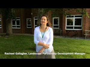 A year in the New Forest 2013/14