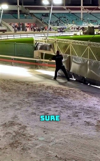 If He’s Too Slow… This Could Go Very Wrong 😳🐕💨