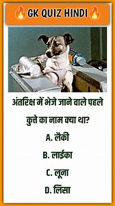 145K views · 1.6K reactions | GK questions in Hindi||Gk Quiz in Hindi||Gk Quiz #gkquestion #gkquestion #gkquiz #gkquestion #gkinhindi #gkquizhindi | GK Quiz Hindi | Facebook