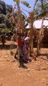 Ukijaribu kucheat dem mkisii😅😅😅🤣🤣💔💔kidogo shingo iende💔🤣🤣🤣 | Sonkid kenyansa