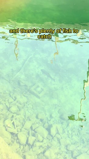 Urban fishing misconception and lore 🍞🎣🏢