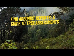 How to Find Arborist Reports A Guide To Tree Assessments