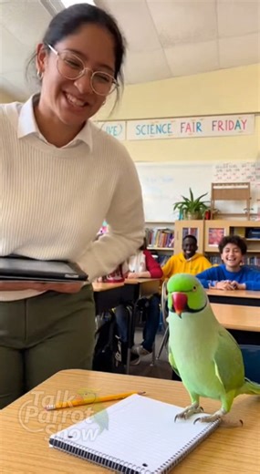 🏫🦜 School Parrot REFUSES Homework — Funniest Punchline Ever 😂 This Indian Ringneck boldly refuses to do homework 🤣 and his smart punchline makes the whole class burst into laughter 😂🔥 Pure comedy gold! Follow for more talking parrot comedy 🦜 #TalkParrotShow #FunnyParrot #SchoolComedy #TalkingParrot #ParrotComedy #ComedyShorts #ViralShorts #LaughOutLoud #Ringneck #8KVideo #FunnyAnimals | Talk Parrot Show