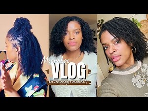Mini Twist starter locs|| Micro locs Journey 9 months‼️