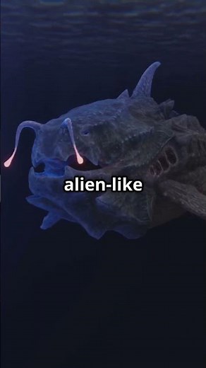 Inside the Challenger Deep: Earth’s Deepest Spot