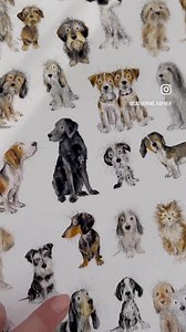 Catherine Rayner on Reels