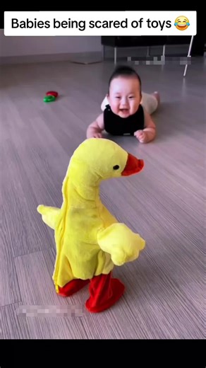 Babies being scared of toys 😂, Cute and funny moments of babies afraid of their toys, Kid's funny moments at the 2oo Get ready to laugh hard with the funniest TikTok clips on your feed! From hilarious POVs and caught-on-camera funny moments to funny animals, adorable babies, pranks, and meme-worthy fails it's non-stop comedy for all ages. Try not to laugh? You'l fail. #funny #foryoupage #baby #usa #fyp