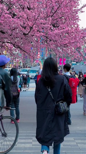 Exploring Tokyo's Streets During Spring Dusk