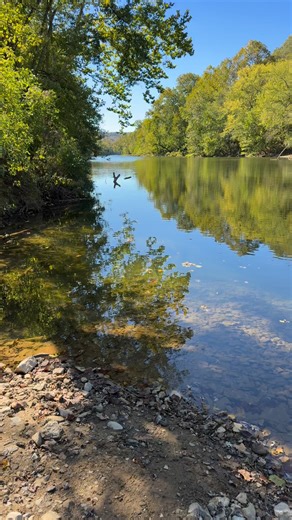 Elk River West Virginia #foryouシpage #foryoupageシ #life #WestVirginia #homesweethome #river | Matthew White