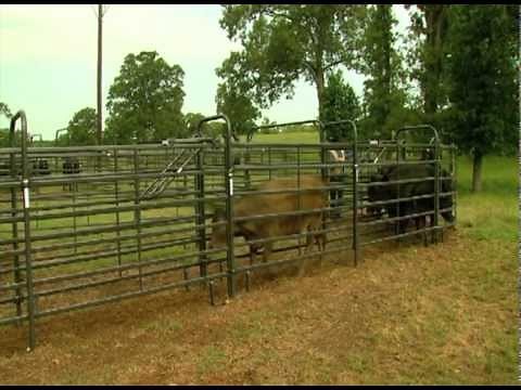 Priefert Medium Cattle Working Systems