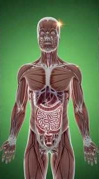 Your Body Does This Every Second 3D Explained #3danimation #health #milk