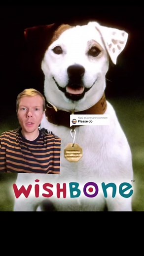 Adventures of Wishbone: A Small Pup with Big Imagination