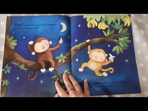 Night Monkey Day Monkey 🐒 | Story Book Read Aloud For Kids