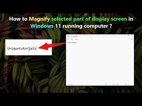 How to Magnify selected part of display screen in Windows 11 running computer ?