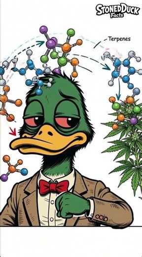 Why Some Weed Smells Like Skunk 🦨🌿