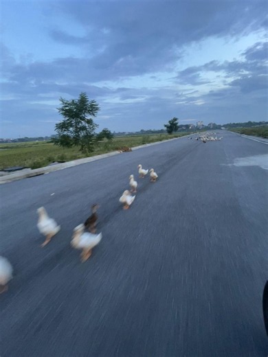 Quê cứ thế mà lại hay - ý nghĩa và lời bài hát