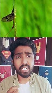 Do you know about the life story of these #facts #viralvideo #tamilfacts