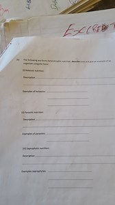 The following are forms of heterotrophic nutrition, describe ea... | Filo