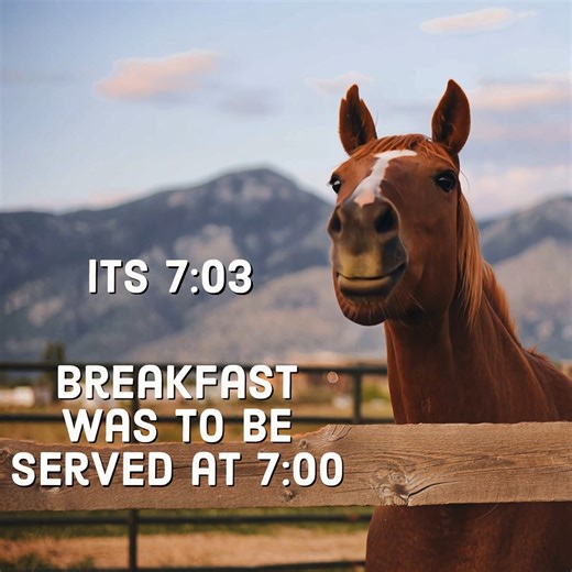 12K views · 424 reactions | What's The Hold Up? | Horse Grapevine | Facebook