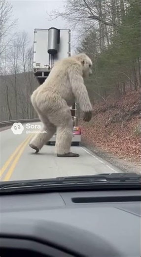 Yeti pooping out an 18 wheeler