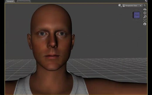 FaceGen Artist Pro脸部照片转换模型制作软件V3.8版 人人素材RRCG