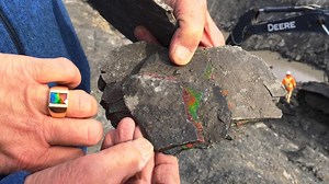 Watch how ammolite, the rarest of gemstones, is mined in Alberta