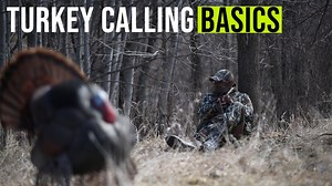 Turkey Calling BASICS For Beginners (When, Why, How)