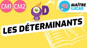 Les déterminants CM1 - CM2 - 6e - Cycle 3 - Français : grammaire