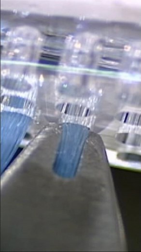 Adding Bristles to a Toothbrush | How It's Made | Science Channel