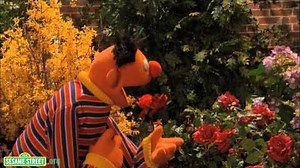 Sesame Street I Wonder