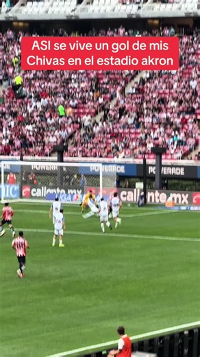 Gol de Chivas en el Estadio Akron