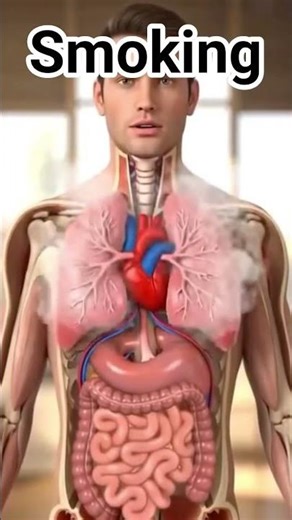 smoking effects of the lungs #lungs #lungcancer #humananatomy #anatomy #biology #sciencefacts