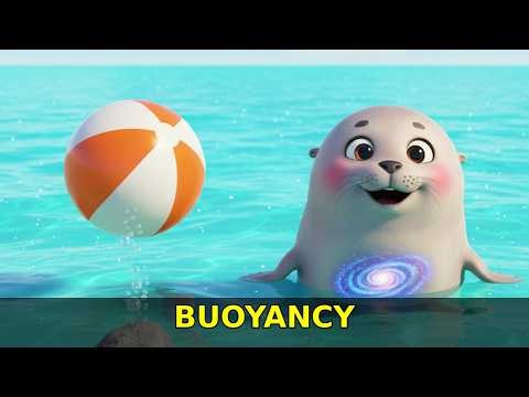 Buoyancy Song for Kids 🌊 Why Do Things Float? | Nursery Rhymes | Dobbo the Science Seal
