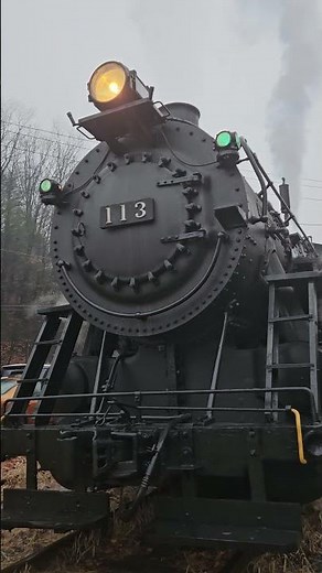 CNJ 113 in idle at Minersville