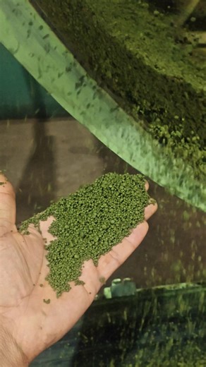 CTC Machine ka Sabse Takatvar Part – Roller ☕ #CTCmachine #TeaFactory #TeaProcessing #Shorts