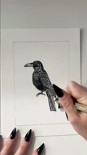How to Draw a Raven – 30+ Minutes in 30 Seconds!