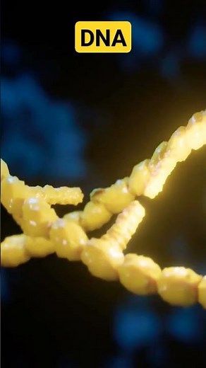 DNA Structure in 3D #3d #dna #3danimation #dnavideo #3dprinting