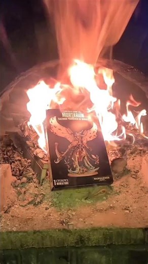 Is Mortarion fireproof? Burn the Unclean!! #fire #chaos #purge #warhammer40k #miniature #figurine