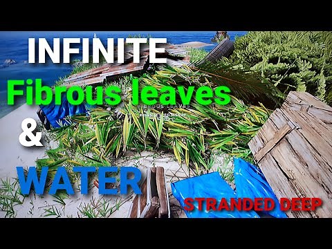 Stranded deep ; How to get infinite fibrous leaves and infinite water .
