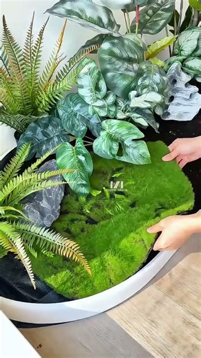 Create a Zen inspired landscape on your balcony #SpaceDesign #gardendesign #garden #plants