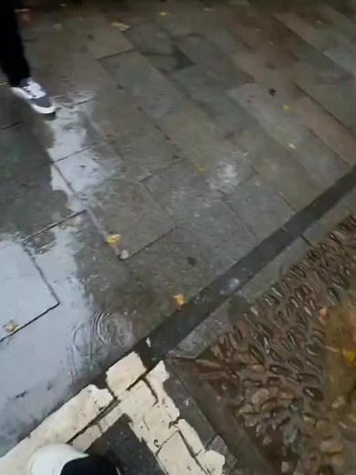 Understanding Taurus Traits and Characteristics