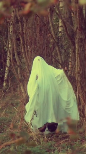 Unique Bed Sheet Ghost Tutorial with FlexEveryAngle