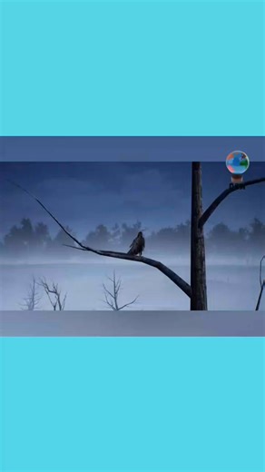 🇷🇺🇷🇺Les zombies de l’Armée Rouge : l'incroyable résistance soviétique, Gazés par les nazis | Direct Monde Afrique