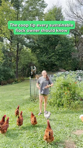 From Coop to Compost — The Ultimate Garden Hack! If you’ve got chickens and a garden, you’re sitting on gold — and Grubbly Farms Hemp Bedding takes it to the next level. 100% biodegradable and compost-ready, it’s the perfect pairing for your flock and your compost pile. | Grubbly Farms