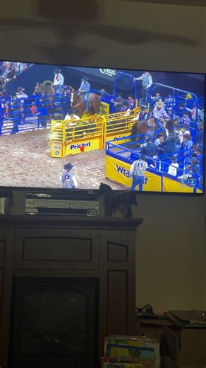 Nfr round 4 - steer wrestling | Runnin C Ranch - Stallion Station