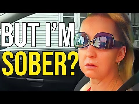 The Funniest Traffic Stop I've Ever Seen